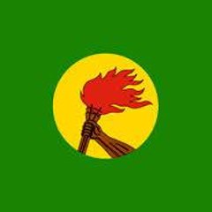 Africanmusic100