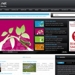 Rizeyle.Net