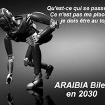 Bilel ARAIBIA