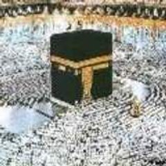 abdel_maalek