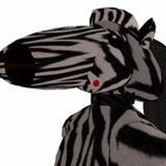 Zebra404
