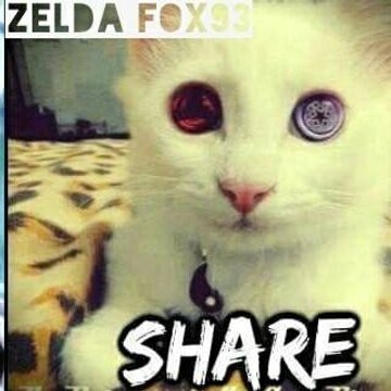 ZELDA FOX 93