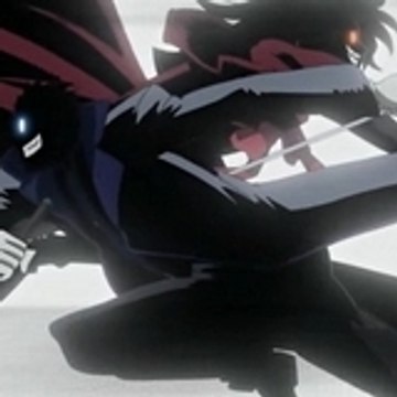 The bird of the Hermes