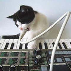 Busted Keys