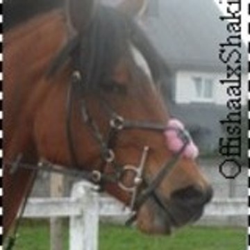 Charlyii