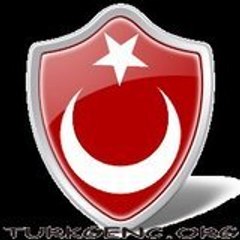 turkgenc-org