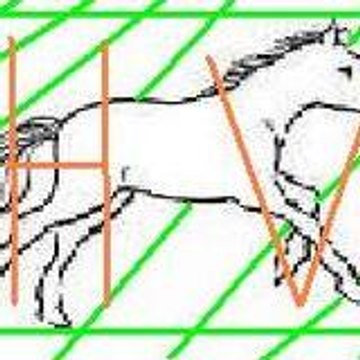 Horse Virtuel