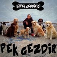Cem Evinç