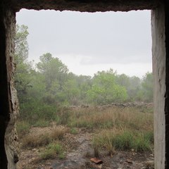 Alcocebre es +