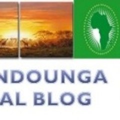 cedric NDOUNGA