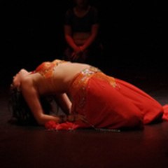 dellya abdelouhab