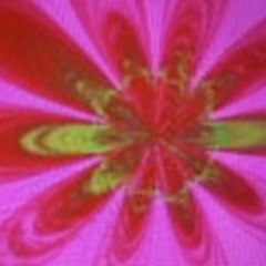 GLOBAL ART  GLOBAL ART