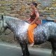 delphine bolmont
