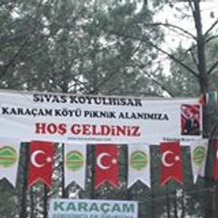 Mehmet Aydın