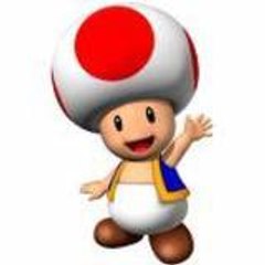Toad Toad