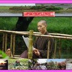 photofluide37