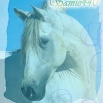 Samie440