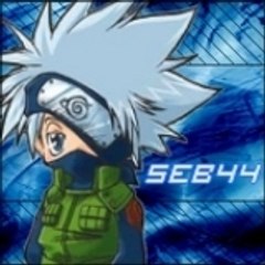 seb_44