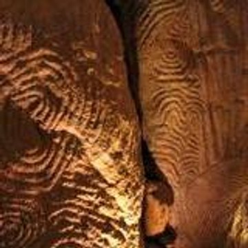 Ancestrale