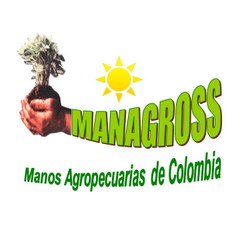 MANAGROSS