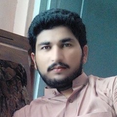 Pigeons Of Pakistan