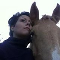 élevage des champs d'or