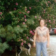 Beth Braun Hendershot