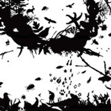 Port-Cros Parc national