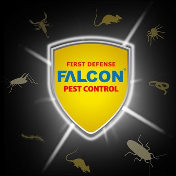 Falcon Elektronik