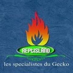 Reptisland