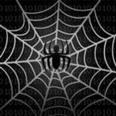 SEO Traffic Spider