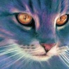 Frogncat