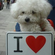 Kay-la DreamSummer's