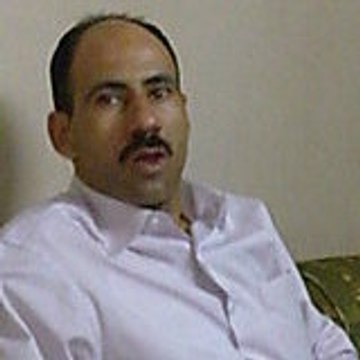 hesham alameldin