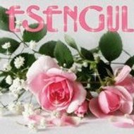 esen_gul