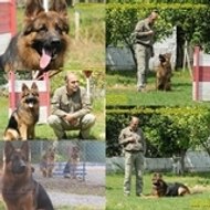 Köpekeğitmeni Murat Koçoğlu