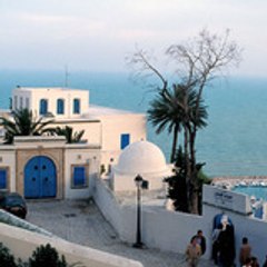 lassaadafli