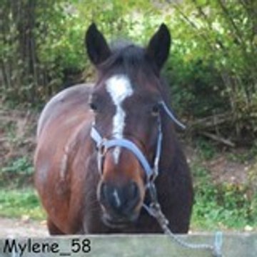 Mylène Iller