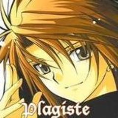 Plagiste
