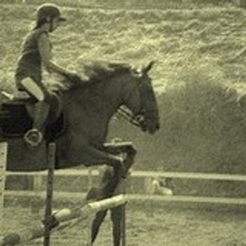 sarahcavaliere