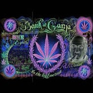 Kamikaze Seven-Eight-Yvelines