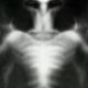 Nephilim55