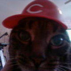 cincywarrior
