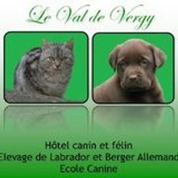 Cédric PUVIS DE CHAVANNES