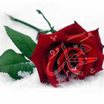 islamsesli