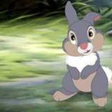 MrPanpan