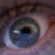 Philippe Daniel Coll