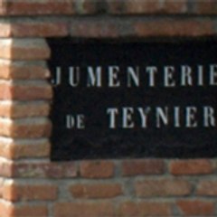 Jumenterie