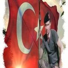 sonhamsi