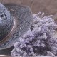lavendel1001